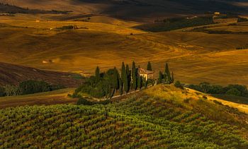 Belvedere in zacht avondlicht ...