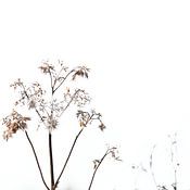 Photography by Karin profielfoto