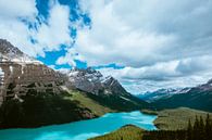 Peyto Lake, Banff National Park by Annika Koole thumbnail