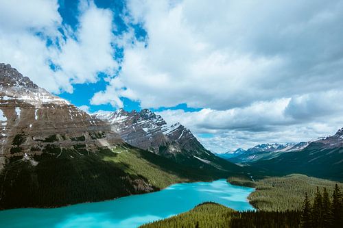 lac Peyto, Banff