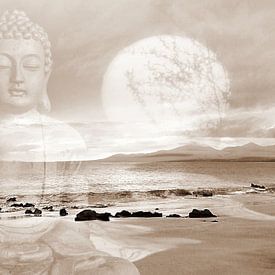 Vrede Boeddha Lanzarote Strand van Renate Knapp