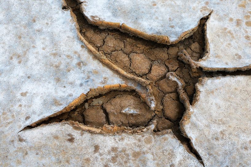 leaf-shaped pattern by Jeannet Zwols  Fotografie