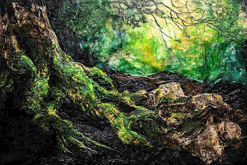 Moosbewachsene Baumwurzeln im Wald von Imperial Art House