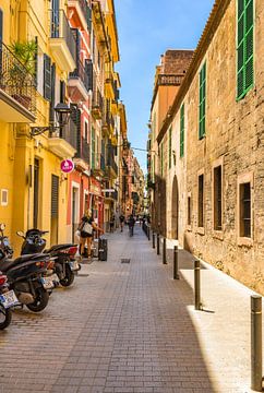 Straat in de oude stad van het centrum in Palma de Majorca, Spanje van Alex Winter