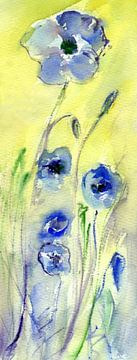 blaue Mohnblumen - blauwe klaprozen von Claudia Gründler