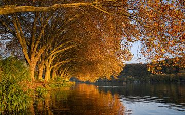 Baldeneysee, Essen, Deutschland von Alexander Ludwig