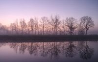A beautiful reflection of trees along the water during a cold day.