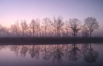 Een mooie reflectie van bomen langs het water tijdens een koude dag. van cindy kuiphuis