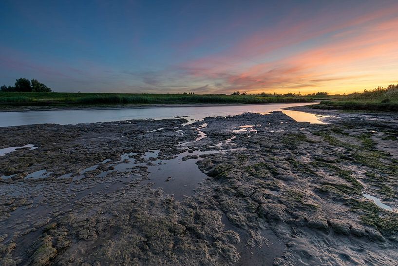 Mud structure by Jan Koppelaar