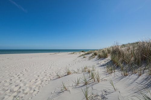 Oostzeestrand en duinen in Prerow