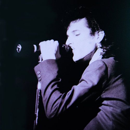 Willy DeVille Vison popstar