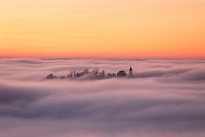 Die Burg Teck taucht im Nebelmeer ab.