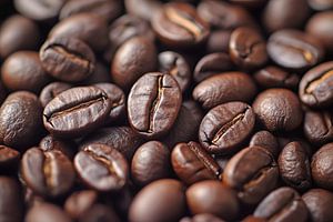 Nahaufnahme von Kaffeebohnen
