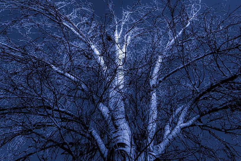 Berk in blauw van Dieter Walther