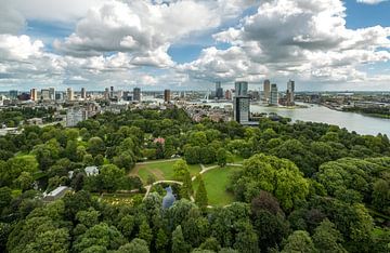 The skyline of Rotterdam by MS Fotografie | Marc van der Stelt