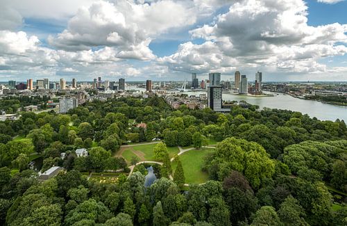 De skyline van Rotterdam