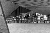 Hauptbahnhof Rotterdam. von Sem Wijnhoven Miniaturansicht