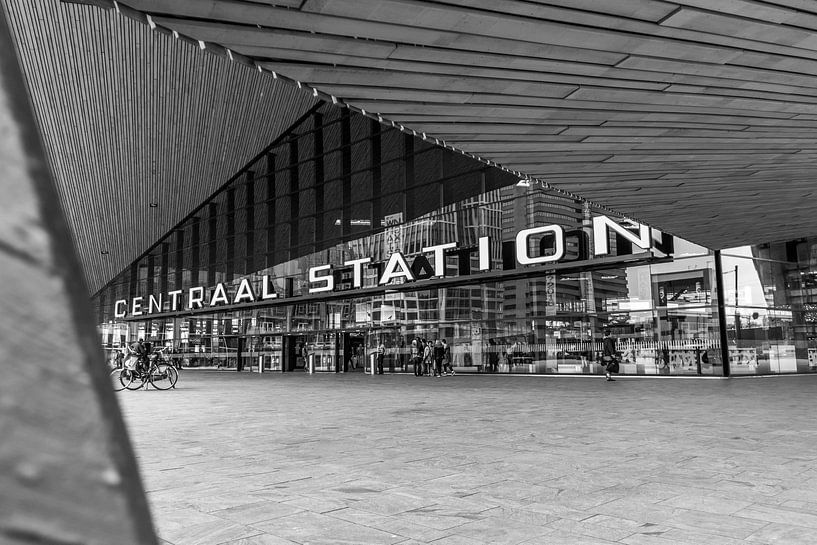 Hauptbahnhof Rotterdam. von Sem Wijnhoven