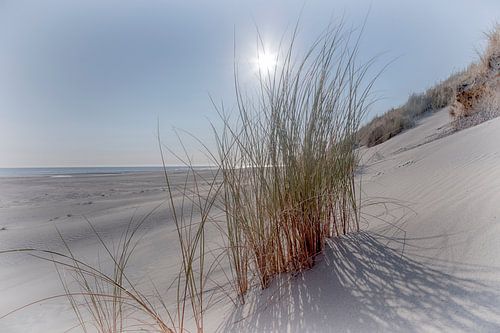 On the beach in Ameland