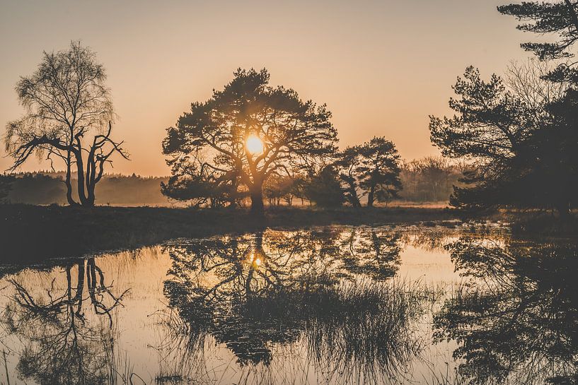 Leersum Field by rosstek ®