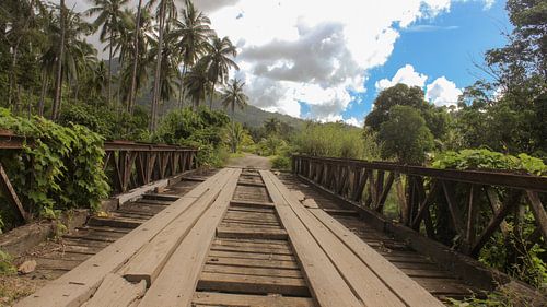 Brug door Aziatisch landschap