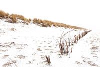 Ameland Dünen im Schnee 02