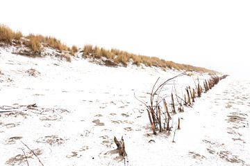Ameland duinen in de sneeuw 02