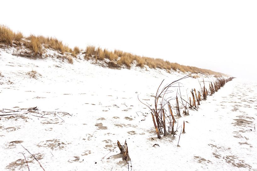 Ameland duinen in de sneeuw 02 van Everards Photography