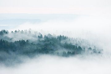 Mistige Ardennen van Danny Slijfer Natuurfotografie
