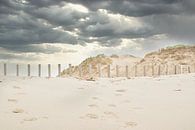 Duinen en  strand, Zandvoort van WeVaFotografie thumbnail