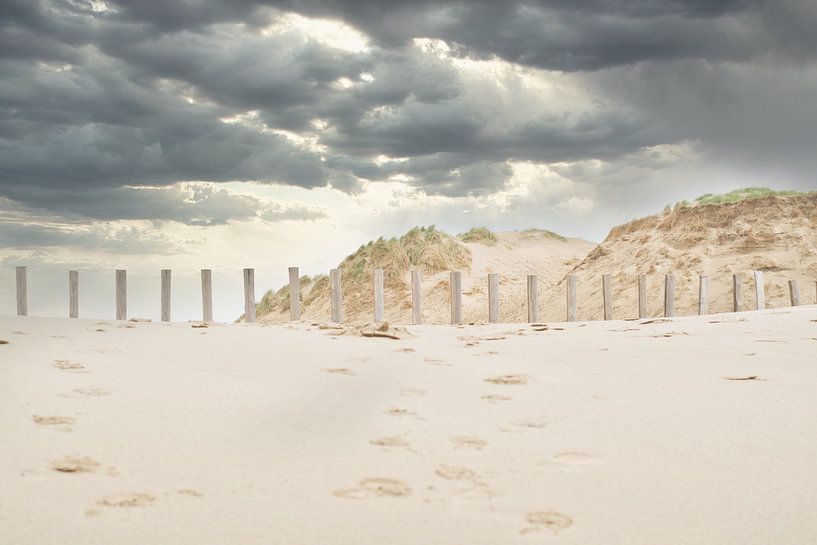 Duinen en  strand, Zandvoort van WeVaFotografie