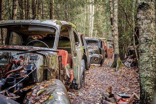 Roestige erfenissen in het bos - autokerkhof in Zweden