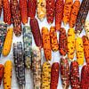 Épis de maïs colorés sur le grand marché aux fleurs de Kunming, Chine sur Jan Fritz