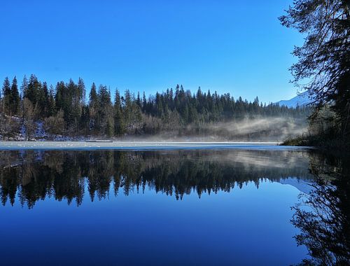 Reflection in the water