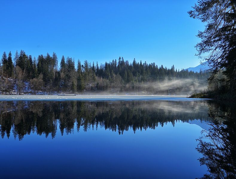 Reflection in the water by Michael Hagenunger
