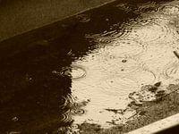 de regen die valt in het water 