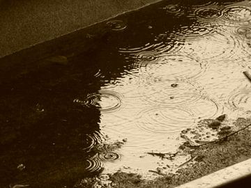 de regen die valt in het water  by Veluws
