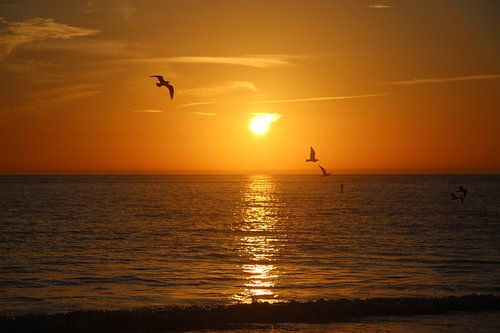 Seegras-Sonnenuntergang von Robert Verbrugge