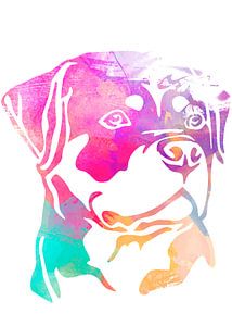 Buldog's head