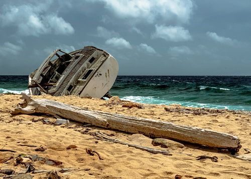 Never arrived Home von Rene van Mook