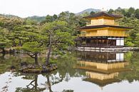 Kyoto Japan van Bart van Eijden thumbnail