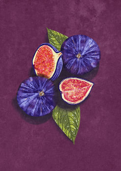 Figues Stil Life