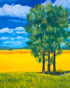 Sommerlandschaft