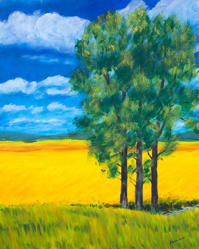 Paysage d'été