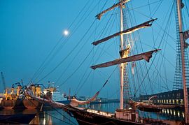 Thalassia in de haven van Scheveningen von Jacintha Van beveren