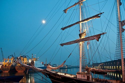 Thalassia in de haven van Scheveningen