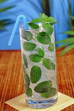Mojito cocktail van Peter Bergmann