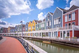 Schilfpfütze Hölzerne Pfütze Sonniger Tag von Elroy Spelbos Fotografie