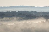 Paysage stratifié avec brouillard