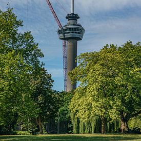 Terex Demag CC3800 hijskraan naast de Euromast. van Jaap van den Berg